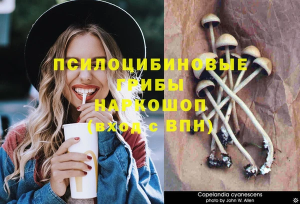 винт Алексеевка