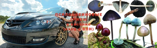 a pvp Алексин