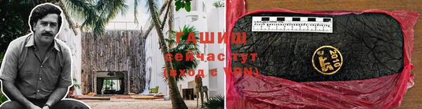 сатива Алзамай