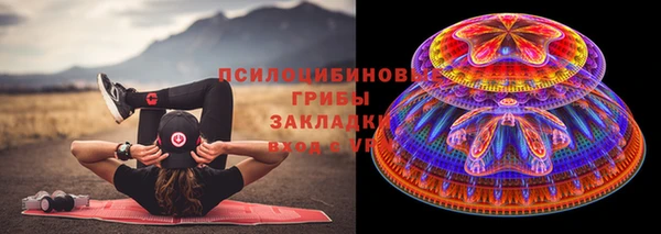 ГАЛЛЮЦИНОГЕННЫЕ ГРИБЫ Абинск